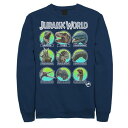 キャラクター フリース 紺色 ネイビー 【 LICENSED CHARACTER JURASSIC WORLD TWO DINO HEADS CHART FLE...