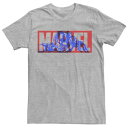 マーベル クラシック ロゴ グラフィック Tシャツ ヘザー 【 MARVEL ANT-MAN LARGE CLASSIC MOVIE LOGO GRAPHIC TEE / ATHLETIC HEATHER 】 メンズファッション トップス カットソー(4)