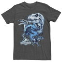 キャラクター カモ柄 Tシャツ 【 LICENSED CHARACTER JURASSIC WORLD TWO T-REX SQUAD CAMO SHATTER...