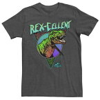 キャラクター Tシャツ チャコール ヘザー 【 LICENSED CHARACTER JURASSIC WORLD REX-CELLENT RETRO COLORS TEE / CHARCOAL HEATHER 】 メンズファッション トップス カットソー