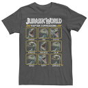 キャラクター 青色 ブルー Tシャツ 【 LICENSED CHARACTER JURASSIC WORLD TWO BLUE RAPTOR EXPRESSIO...