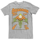 LN^[ fB[V[ R~bNX S TVc y LICENSED CHARACTER DC COMICS AQUAMAN SIMPLE TEXT LOGO PORTRAIT TEE / z Yt@bV gbvX Jbg\[