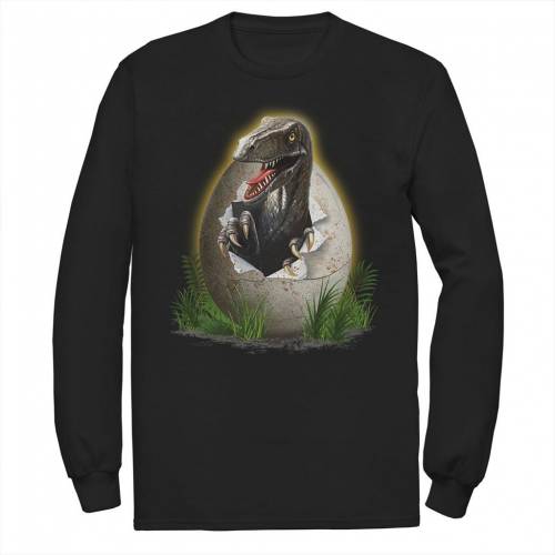 パーク スリーブ グラフィック Tシャツ 長袖 【 JURASSIC WORLD JURASSIC PARK RAPTOR BREAKING THE EG..