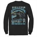 キャラクター ビンテージ ヴィンテージ Tシャツ 【 LICENSED CHARACTER JURASSIC WORLD TWO T-REX VINTAGE P...