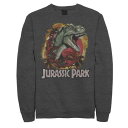 パーク ロゴ グラフィック フリース 【 JURASSIC WORLD JURASSIC PARK T-REX EXPLOSION TROPICAL LOGO ...