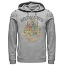 ハリーポッター ビンテージ ヴィンテージ ロゴ フーディー パーカー ヘザー 【 HARRY POTTER VINTAGE LOGO HOODIE / ATHLETIC HEATHER 】 メンズファッション トップス スウェット トレーナー