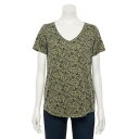 Vネック Tシャツ 緑 グリーン 【 GREEN SONOMA GOODS FOR LIFE ESSENTIAL VNECK TEE PRAIRIE 】