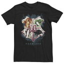 キャラクター Tシャツ 黒色 ブラック 【 LICENSED CHARACTER HARRY POTTER HOGWARTS CREST WATERCOLOR TEE / BLACK 】 メンズファッション トップス カットソー