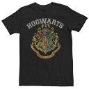 キャラクター ビンテージ ヴィンテージ ロゴ Tシャツ 黒色 ブラック 【 LICENSED CHARACTER HARRY POTTER VINTAGE LOGO TEE / BLACK 】 メンズファッション トップス カットソー