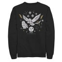 キャラクター クリスマス ウィンター スウェットシャツ トレーナー 【 LICENSED CHARACTER HARRY POTTER CHRISTMAS WINTER OWLS SWEATSHIRT / 】 メンズファッション トップス