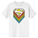 キャラクター ロゴ Tシャツ 白色 ホワイト 【 LICENSED CHARACTER SUPERMAN LOGO COMIC BOOK TEE / WHITE 】 メンズファッション トップス カットソー