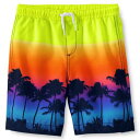 ランズエンド LANDS' END 【 S 2-20 Printed Swim Trunks 】 Multi Palm Trees