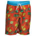 ランズエンド LANDS' END 【 S 10-20 Print Swim Trunks In Husky 】 Flame Jellyfish