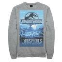 パーク グラフィック フリース 【 JURASSIC WORLD GYROSPHERES TOUR PARK POSTER GRAPHIC FLEECE PULLOVER / 】 メンズファッション トップス スウェット トレーナー