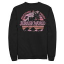 キャラクター スウェットシャツ トレーナー 【 LICENSED CHARACTER JURASSIC WORLD RETRO ADVENTURE CALLS ...
