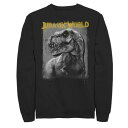 キャラクター スウェットシャツ トレーナー 【 LICENSED CHARACTER JURASSIC WORLD T-REX PROFILE SHADING ...