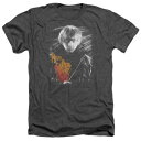 キャラクター ヘザー Tシャツ チャコール 【 LICENSED CHARACTER HARRY POTTER RON PORTRAIT ADULT HEATHER T-SHIRT / CHARCOAL 】 メンズファッション トップス カットソー