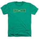 キャラクター 緑 グリーン ロゴ ヘザー Tシャツ 【 LICENSED CHARACTER GREEN LANTERN FLAME LOGO ADULT HEATHER T-SHIRT / KELLY GREEN 】 メンズファッション トップス カットソー