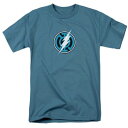 キャラクター 緑 グリーン 青色 ブルー スリーブ Tシャツ 半袖 【 LICENSED CHARACTER GREEN LANTERN BLUE FLASH SHORT SLEEVE ADULT T-SHIRT / SLATE 】 メンズファッション トップス カットソー