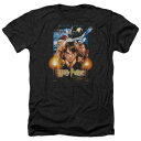 キャラクター ヘザー Tシャツ 黒色 ブラック 【 LICENSED CHARACTER HARRY POTTER MOVIE POSTER ADULT HEATHER T-SHIRT / BLACK 】 メンズファッション トップス カットソー