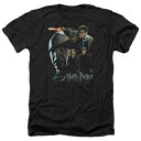 キャラクター ヘザー Tシャツ 黒色 ブラック 【 LICENSED CHARACTER HARRY POTTER FINAL FIGHT ADULT HEATHER T-SHIRT / BLACK 】 メンズファッション トップス カットソー