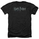 キャラクター ロゴ ヘザー Tシャツ 黒色 ブラック 【 LICENSED CHARACTER HARRY POTTER LOGO ADULT HEATHER T-SHIRT / BLACK 】 メンズファッション トップス カットソー