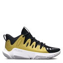 アンダーアーマー Under Armour 【 Flow Breakthru Ld99 Women 】 フローレス スポーツ アウトドア バスケットボール シュ...