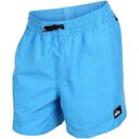 クイックシルバー Quiksilver 【 Volley Youth 13 Women Blithe 】 子供用 13 サーティーン スポーツ アウトドア 水泳 競技水着 レディース競技水着 レディース(4)
