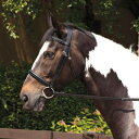 Requisite 【 Raised Bridle And Reins Unisex 】 スポーツ アウトドア 乗馬 その他 ユニセックス
