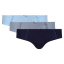リー Lee 【 3 Pack Briefs Women Blue/Dutch/Marl 】 インナー 下着 ナイトウェア レディース インナー 下着 ランジェ...