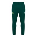 Castore 【 Ireland Training Pant Senior Men 】 トレーニング パンツ シニア スポーツ アウトドア サッカー フットサ...