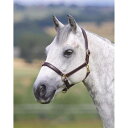 Shires 【 Velocito Gara Ragley Lined Headcollar Unisex 】 スポーツ アウトドア 乗馬 その他 ユニセックス