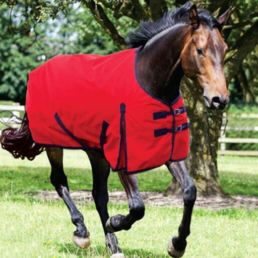 Requisite 【 Standard 600 Lite Turnout Unisex 】 standard スタンダード ライト スポーツ アウトドア 乗馬 その他 ユニセックス Requisite 【 Standard 600 Lite Turnout Unisex 】 standard スタンダード ライト スポーツ アウトドア 乗馬 その他 ユニセックス