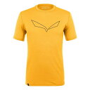 サレワ Salewa 【 Eagle Frame Dry T-Shirt Mens. Men Gold 】 Tシャツ スポーツ アウトドア ウインタースポーツ ...