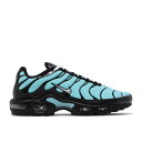 ナイキ Nike 【 Air Max Plus 'Aqua Silver' Men 】 マックス 靴 メンズ靴 スニーカー メンズ