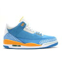 【 AIR JORDAN AIR JORDAN 3 RETRO LS 'DO THE RIGHT THING' / BRISK BLUE RADIANT GREEN PRO 】 ナイキ 青色 ブルー 緑 グリーン プロ エアジョーダン スニーカー メンズ