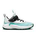 【 NIKE ZOOM FREAK 3 PS 'N.I.