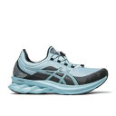 【 ASICS NOVABLAST 'LIGHT STEEL' / LIGHT STEEL LIGHT STEEL 】 銀色 スチール スニーカー メンズ アシックス