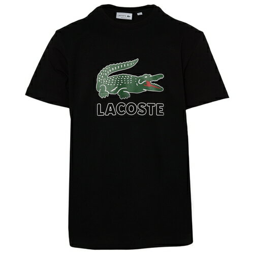 ナイキ NIKE レブロン MENS メンズ LEBRON XVII カットソー トップス Tシャツ ファッション 送料無料