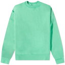 カラフル スタンダード スタンダード クルー スウェット スプリング 緑 グリーン スウェットトレーナー メンズ 【 COLORFUL STANDARD COLORFUL STANDARD ORGANIC OVERSIZED CREW SWEAT / SPRING GREEN 】 メンズファ