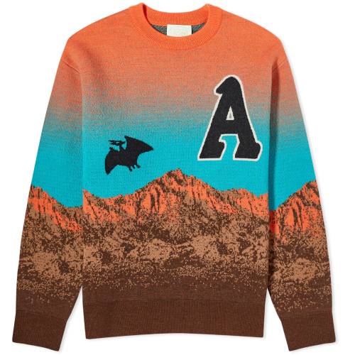 アリーズ クルー スウェット 橙 オレンジ スウェットトレーナー メンズ 【 ARIES CAVE THEY VERDANT CREW SWEAT / ORANGE 】 メンズファッション トップス ニット セーター