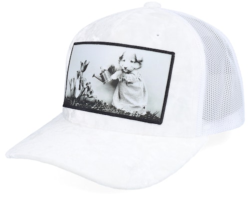 【★スーパーSALE★6/11午前2時迄】Calza Pennello 【 Dog Watering Plant Velvet White/White A-Frame - White 】 バッグ 小物 ブランド雑貨 帽子 メンズ帽子 キャップ 白色 ホワイト 【★スーパーSALE★6/11午前2時迄】Calza Pennello 【 Dog Watering Plant Velvet White/White A-Frame - White 】 バッグ 小物 ブランド雑貨 帽子 メンズ帽子 キャップ 白色 ホワイト