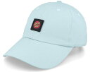 サンタクルーズ Santa Cruz 【 Turquoise Dad Cap - 】 キャップ 帽子 バッグ 小物 ブランド雑貨 帽子 メンズ帽子 キャップ