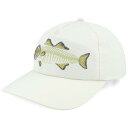 Upfront 【 Anthony Beige A-Frame Adjustable Men Beige 】 アンソニー ベージュ バッグ 小物 ブランド雑貨 帽子 メンズ帽子 キャップ メンズ ベージュ