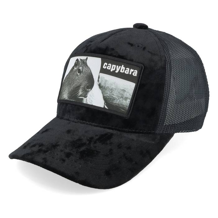 �ڡ������ѡ�SALE��3/11����2�����ۥ������˥å� Iconic �� Kids Youth Capybara Sofa Velvet Black Trucker Kids Black �� �Ҷ��� ���� �֥�å� �ȥ�å��� ���å� �٥ӡ� �ޥ��˥ƥ� ���å��ե��å���� ˹�� ����å� ����˥� ���å� ���� ��