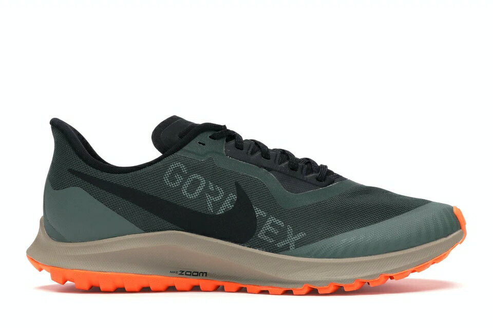 ナイキ NIKE ズーム ペガサス ゴアテックス ズームペガサス スニーカー 【 36 TRAIL GORETEX GALACTIC JADE BLACK 】