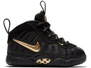 ナイキ フォームポジット プロ 黒色 ブラック ゴールド エアフォームポジットプロ 【 NIKE AIR FOAMPOSITE PRO BLACK METALLIC GOLD (TD) / BLACK METALLIC GOLD BLACK 】