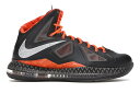 iCL u F ubN sA v`i Xj[J[ Y y NIKE LEBRON X BLACK HISTORY MONTH / ANTHRACITE PURE PLATINUM SPORT z