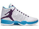 ナイキ ジョーダン 白色 ホワイト ナイト 紫 パープル 青色 ブルー スニーカー メンズ 【 JORDAN XX9 FENGSHUI / WHITE NIGHT PURPLE BLUE LAGOON 】