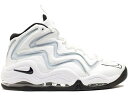 ナイキ 白色 ホワイト 銀色 シルバー 黒色 ブラック 赤 レッド スニーカー メンズ 【 NIKE AIR PIPPEN WHITE SILVER BLACK (2010) / WHITE BLACK VARSITYY RED 】